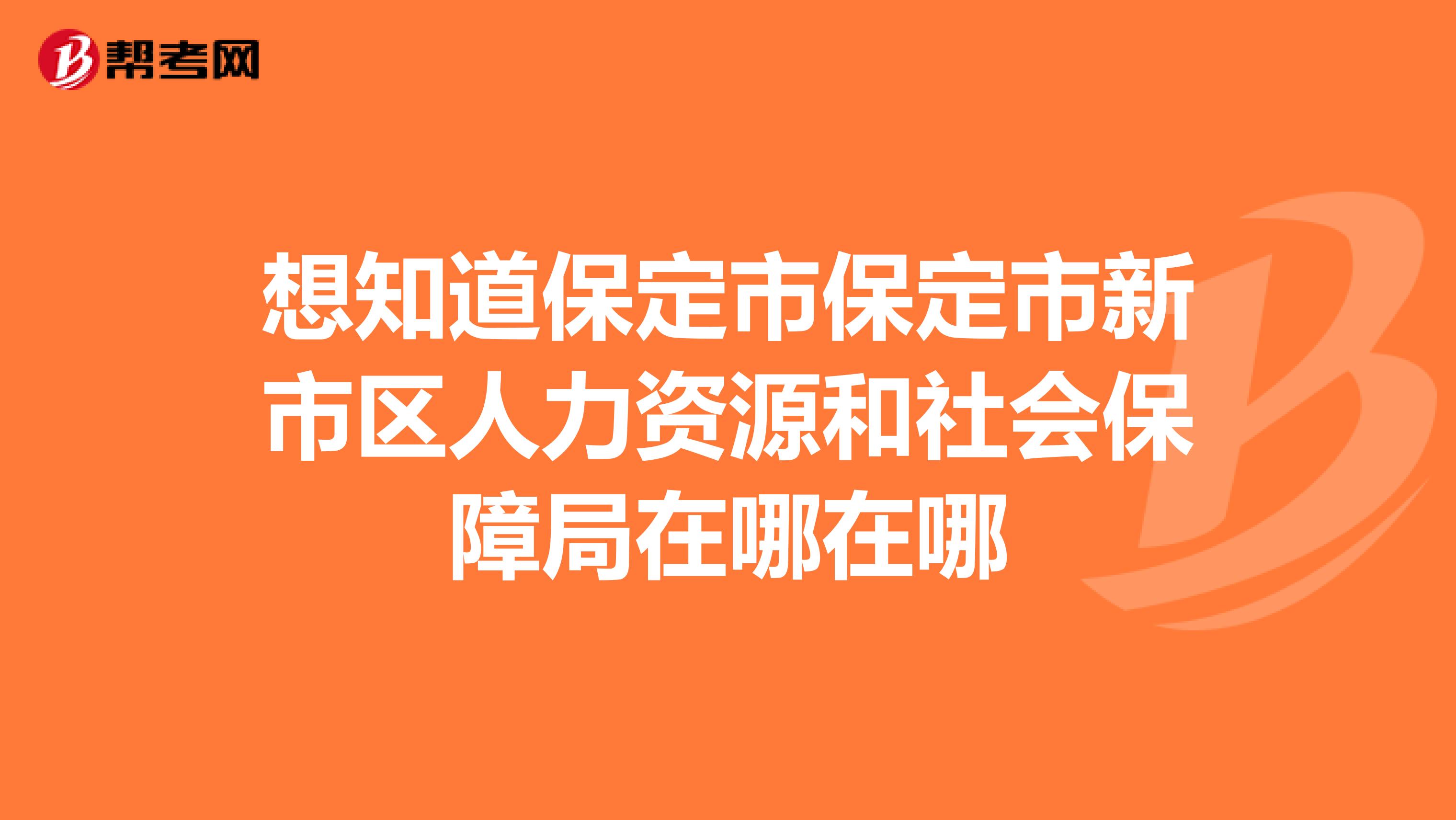 保定市劳动和社会保障局最新发展规划概览