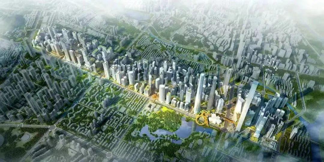 罗湖区市场监督管理局领导团队及市场监管工作全景概览