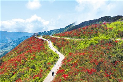 九峰山生态管理委员会天气预报更新通知