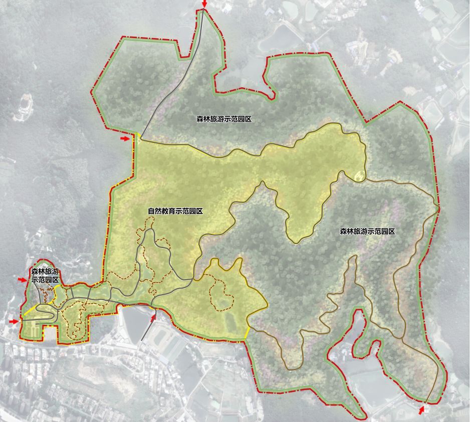 翠峰林场全新发展规划揭晓