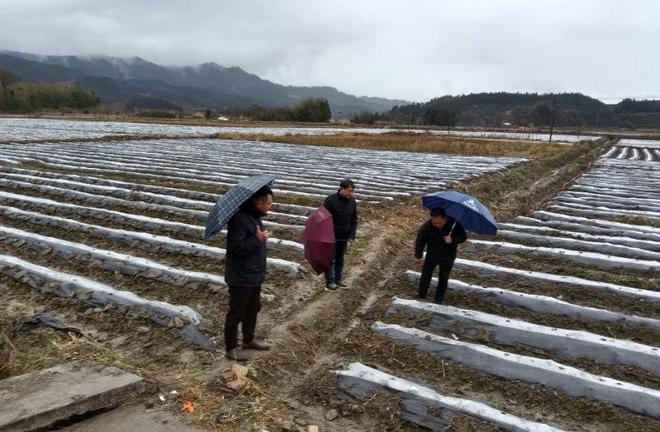 洵口镇天气预报更新通知